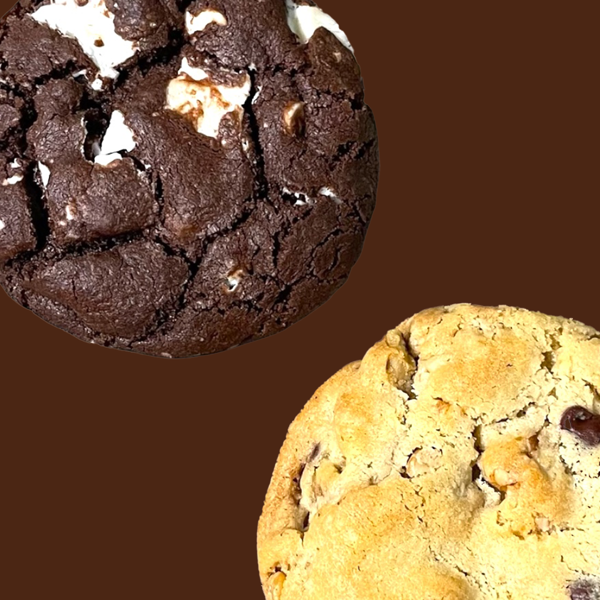 COOKIE DOUBLE CHOCOLATE